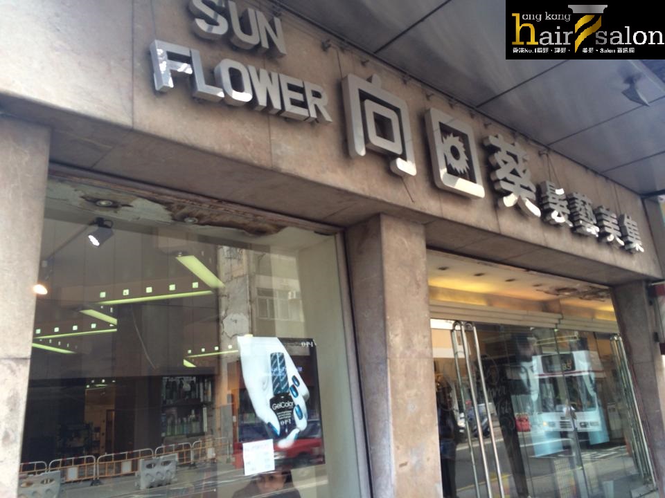 髮型屋: Sun Flower Hair Art Salon 向日葵 髮藝美集