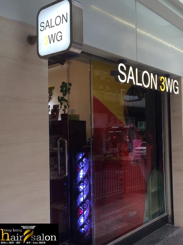 染髮: Salon 3 wg