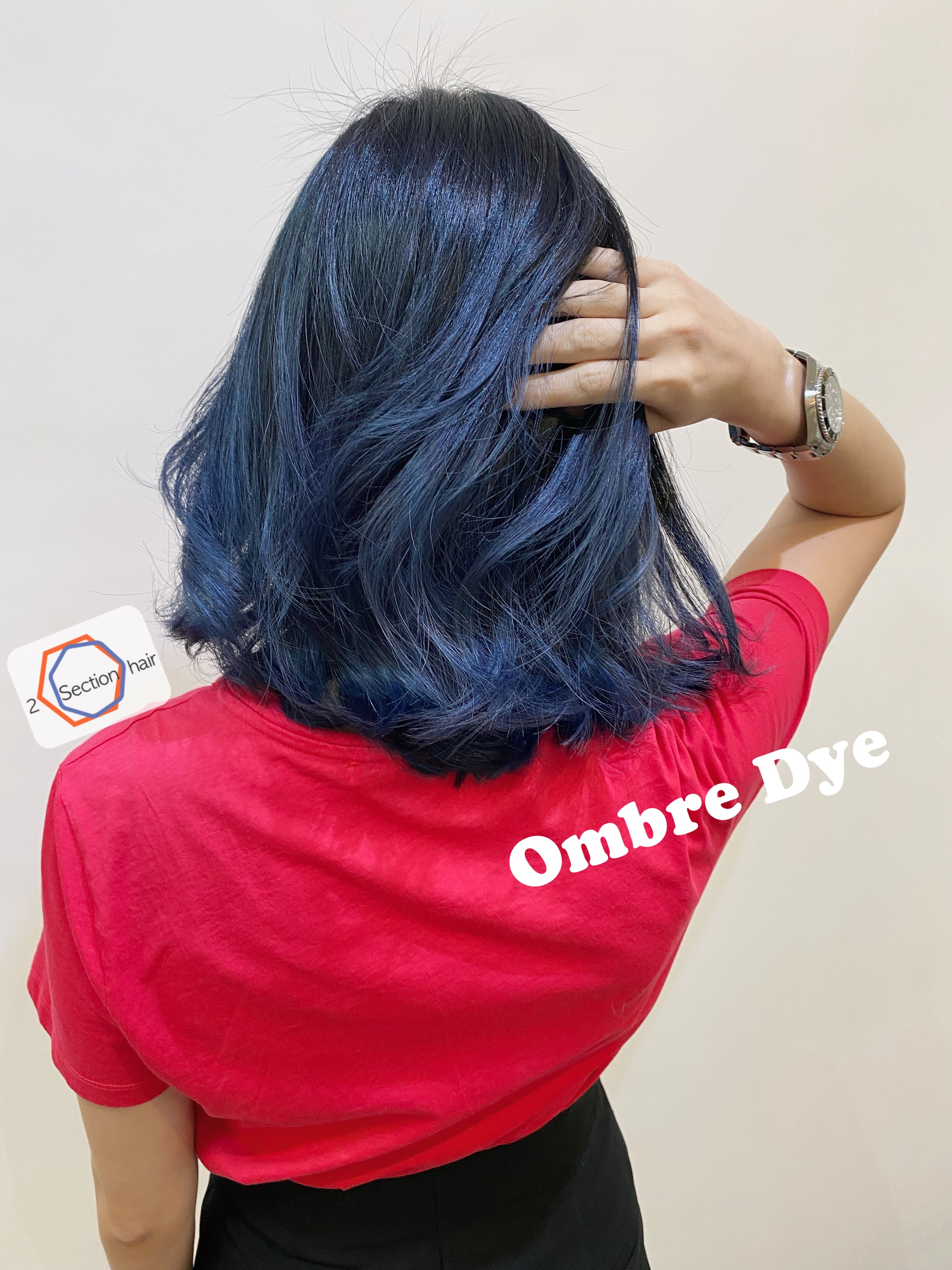 髮型作品參考:Ombré dye