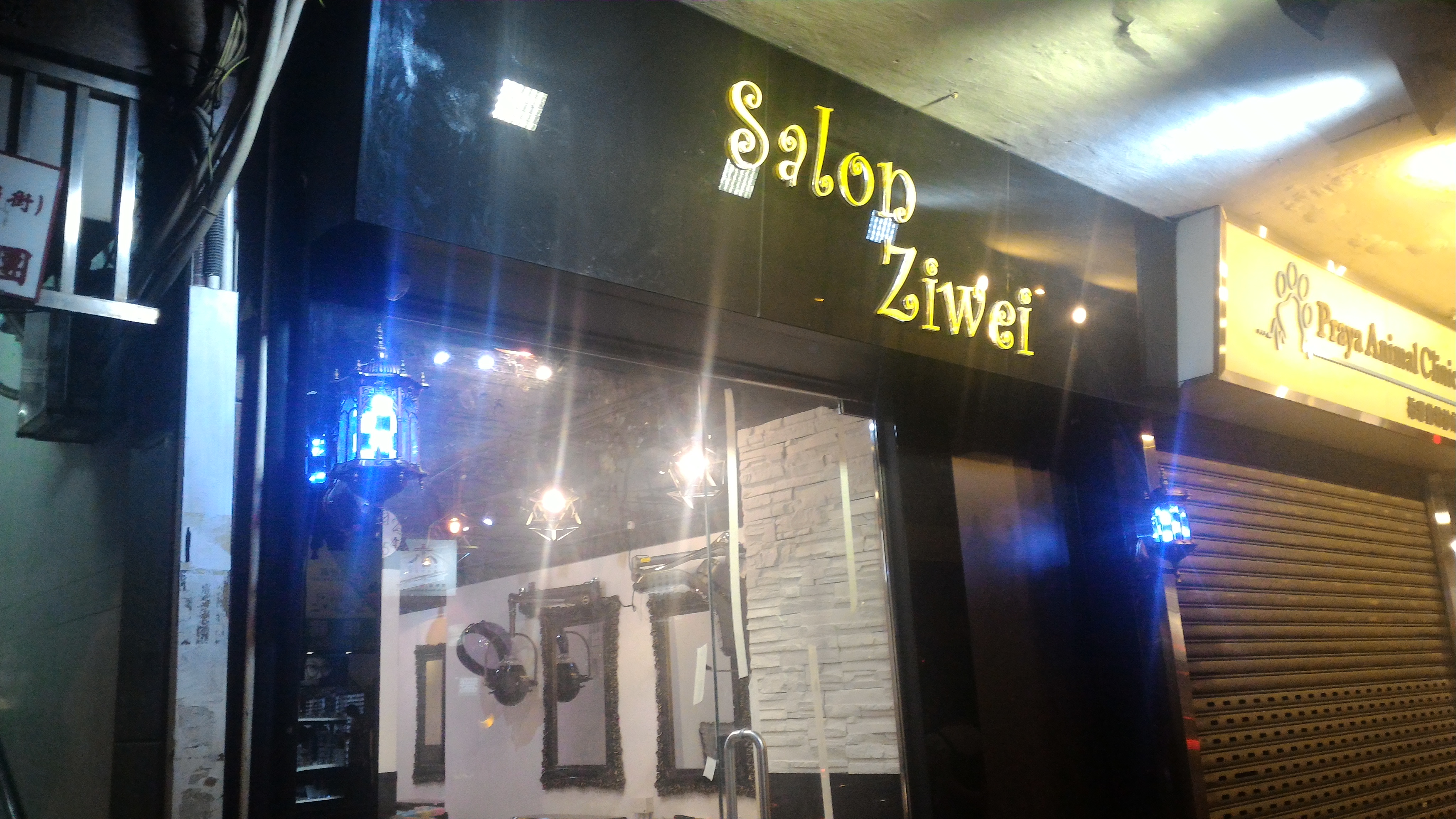 染发: Salon Ziwei