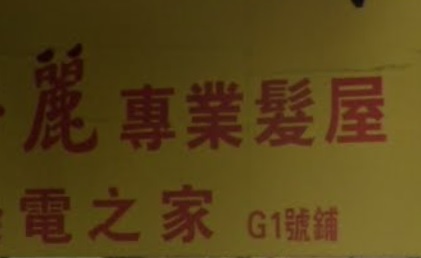 电发/负离子: 上海華麗專業髮型屋