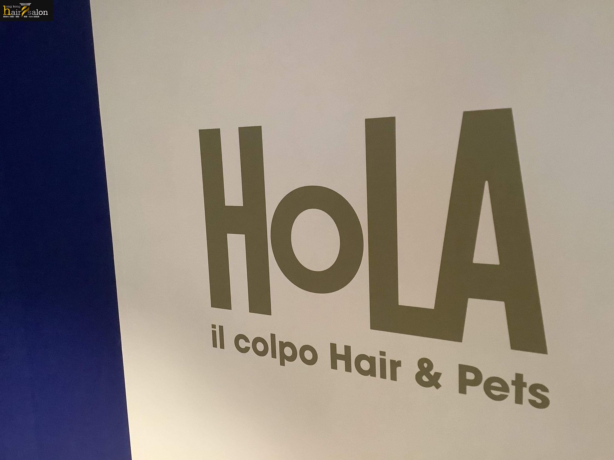 Hair Colouring: Hola il Colpo hairs & pets
