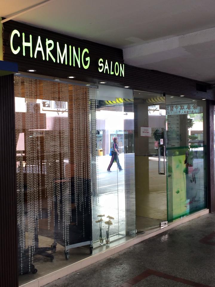 Electric hair: charming salon