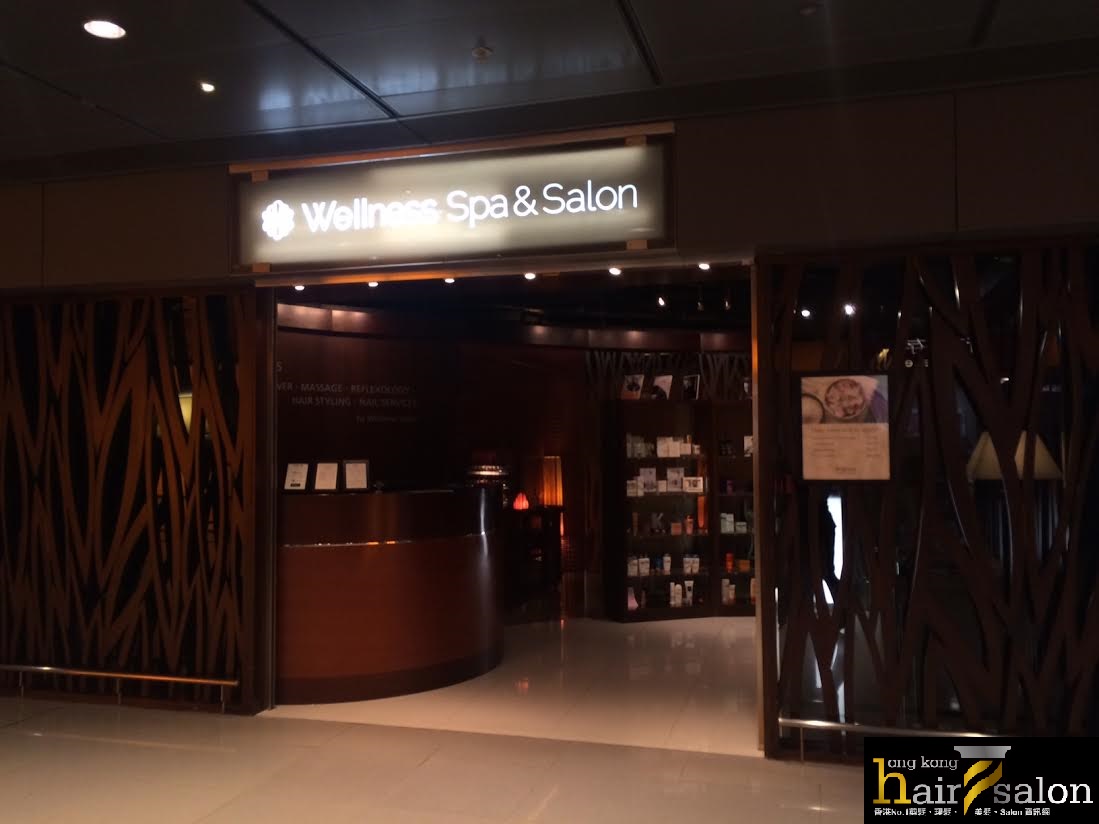 髮型屋 Salon: Wellness Salon (Terminal 2)