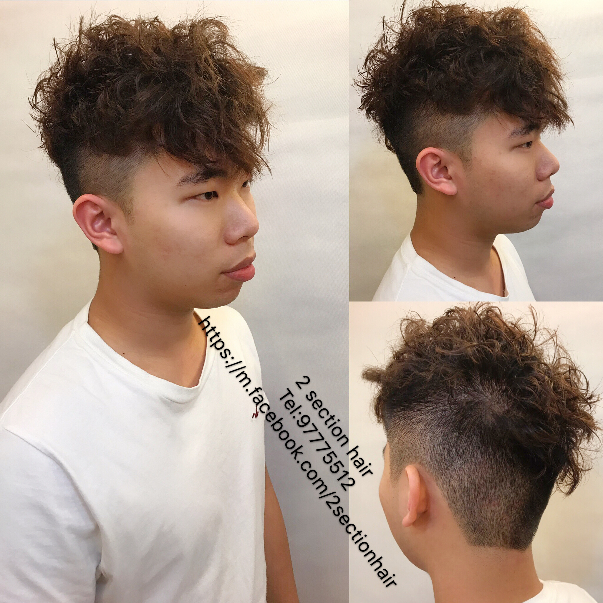 髮型作品參考:Mans perm