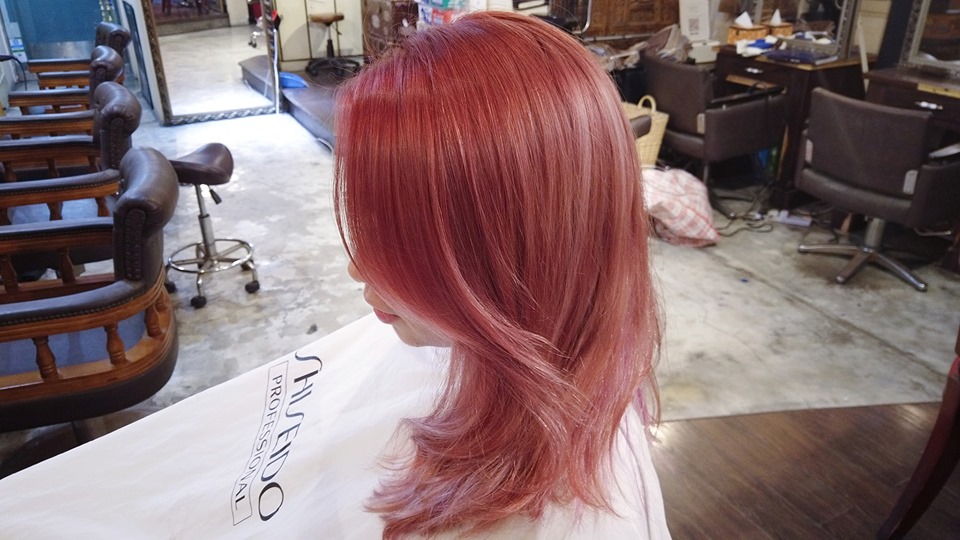 髮型作品參考:shiseido color