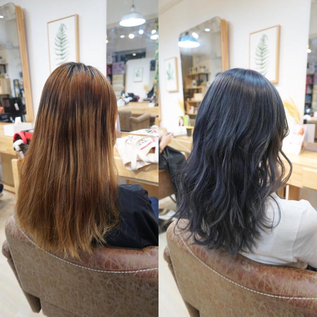 作品參考 / 最新消息:*最新優惠以及為你專屬髮型設計*