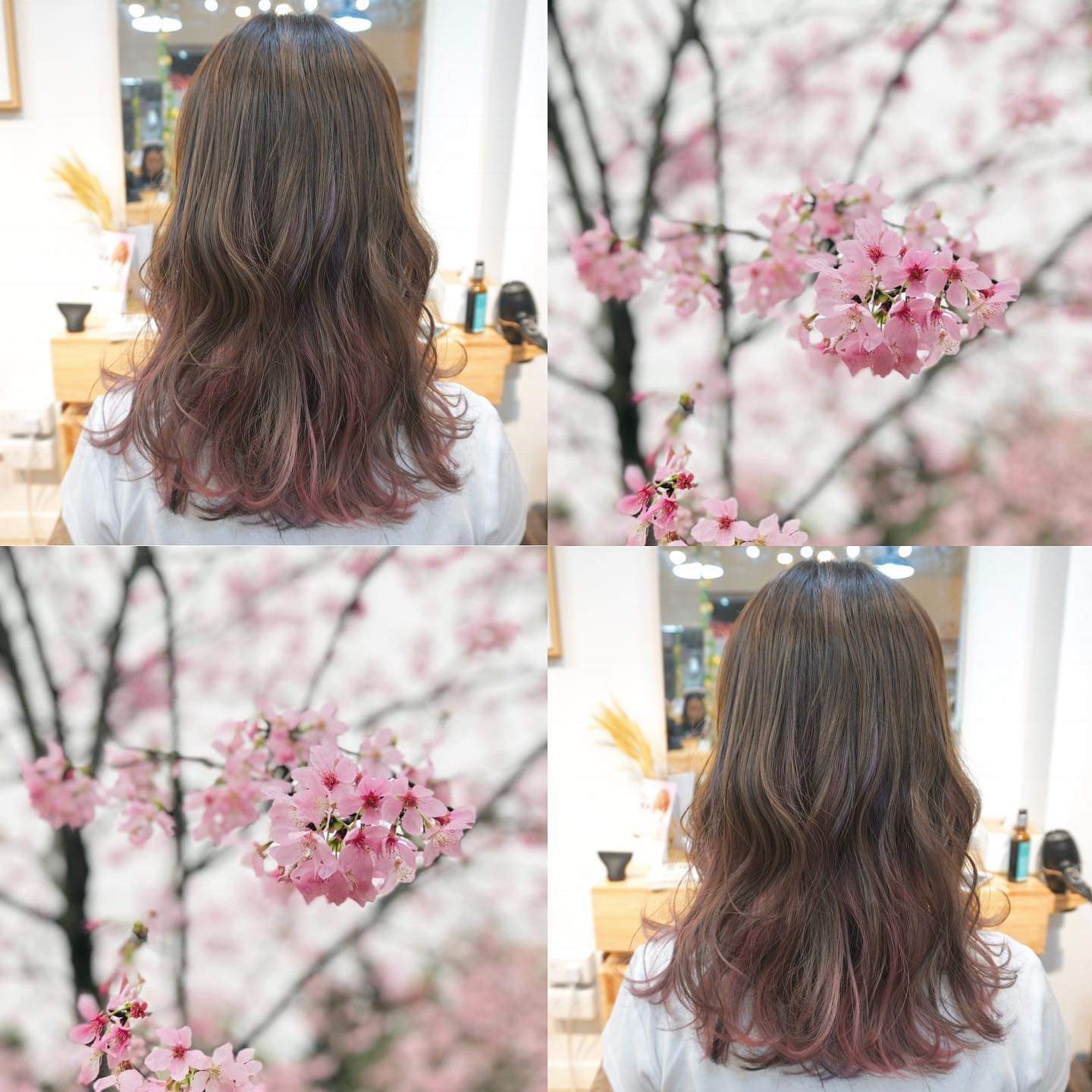 作品參考 / 最新消息:最新2月份優惠以及為你專屬髮型設計：）