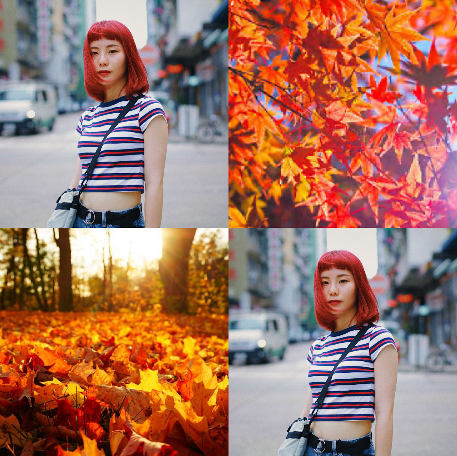 作品參考 / 最新消息:最新12月份優惠以及為你專屬髮型設計：）