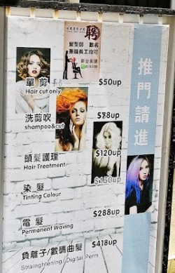 Hair Colouring: 東涌陽光美髮沙龍