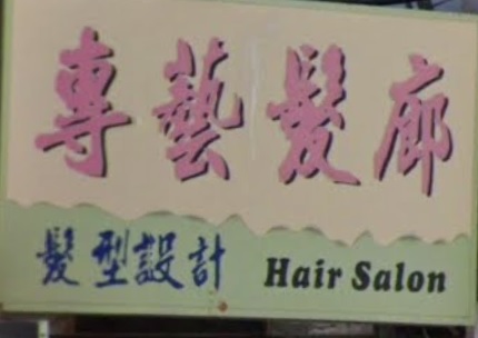 髮型屋: 專業髮廊