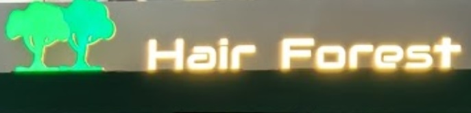 电发/负离子: 髮林 Hair forest